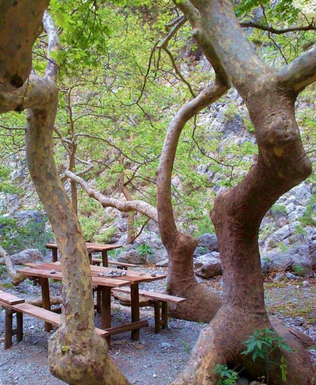 Апартаменты Porofarago Epanochori Экстерьер фото